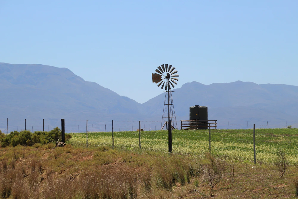 Windmill water pump on a rural South African farm