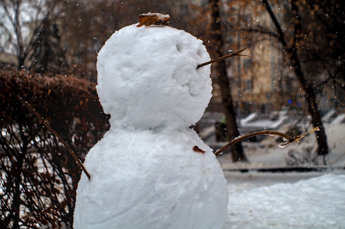La nieve 