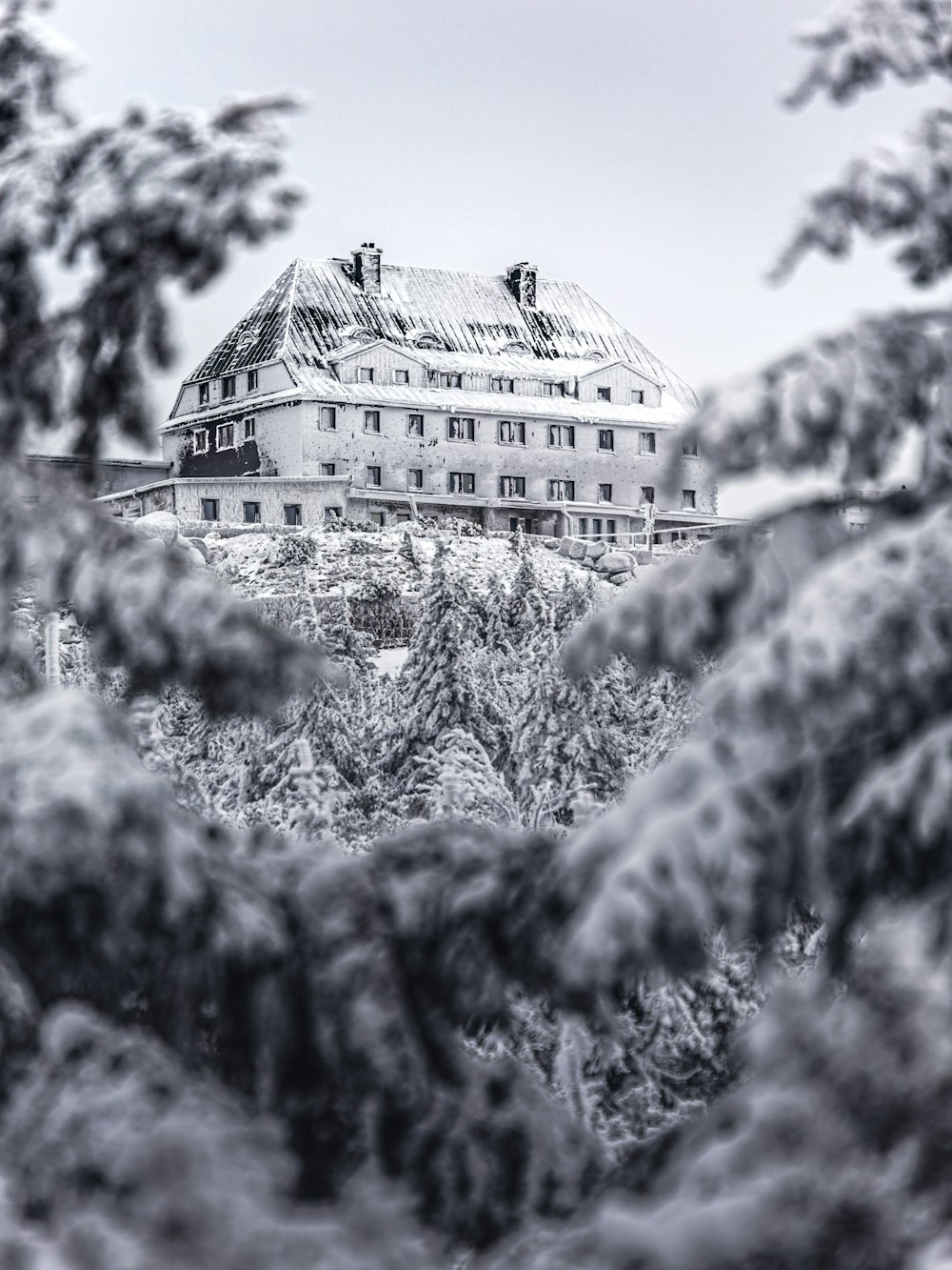 grayscale photo of building surrounded by trees