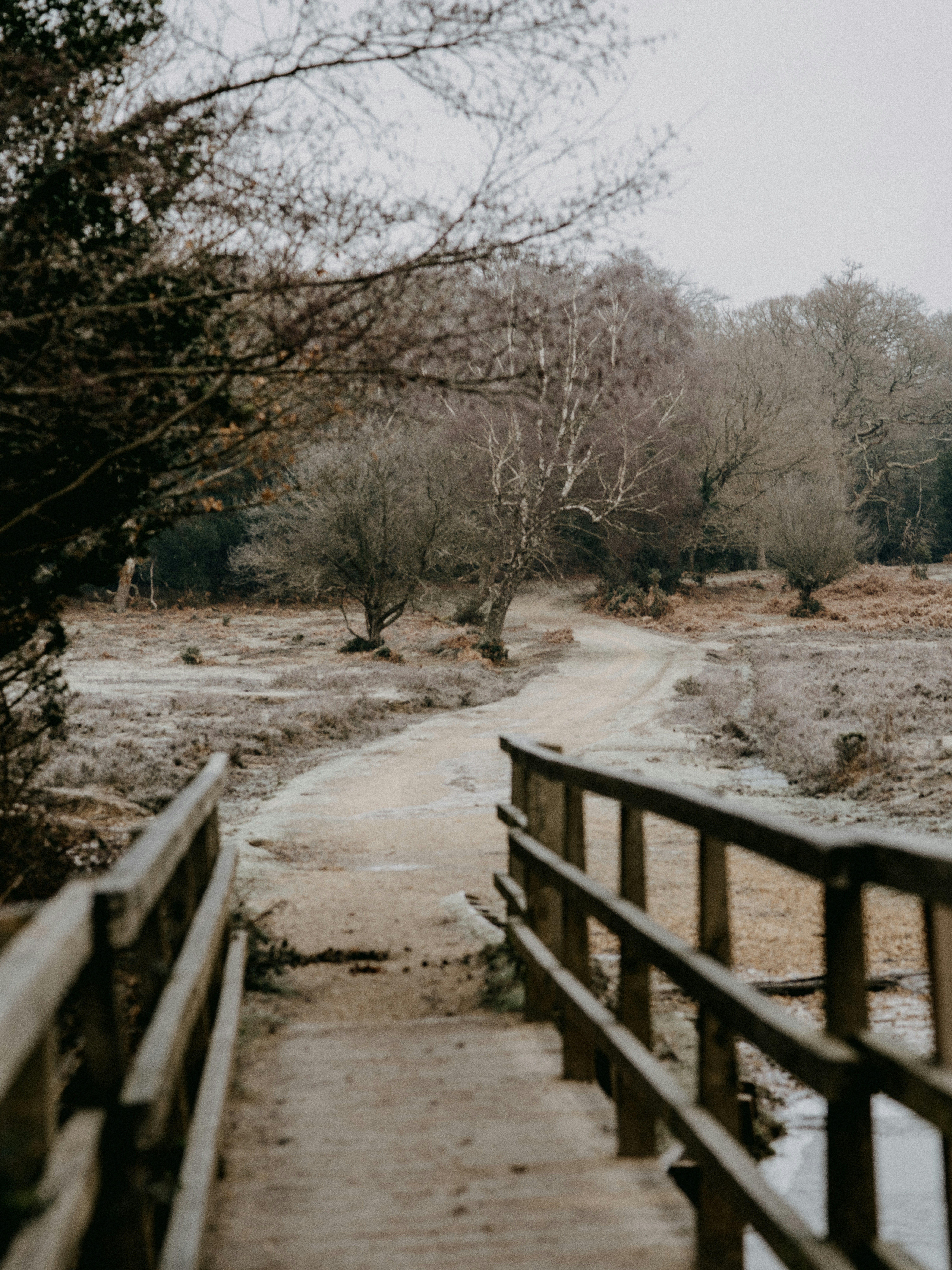 Photo by anniespratt