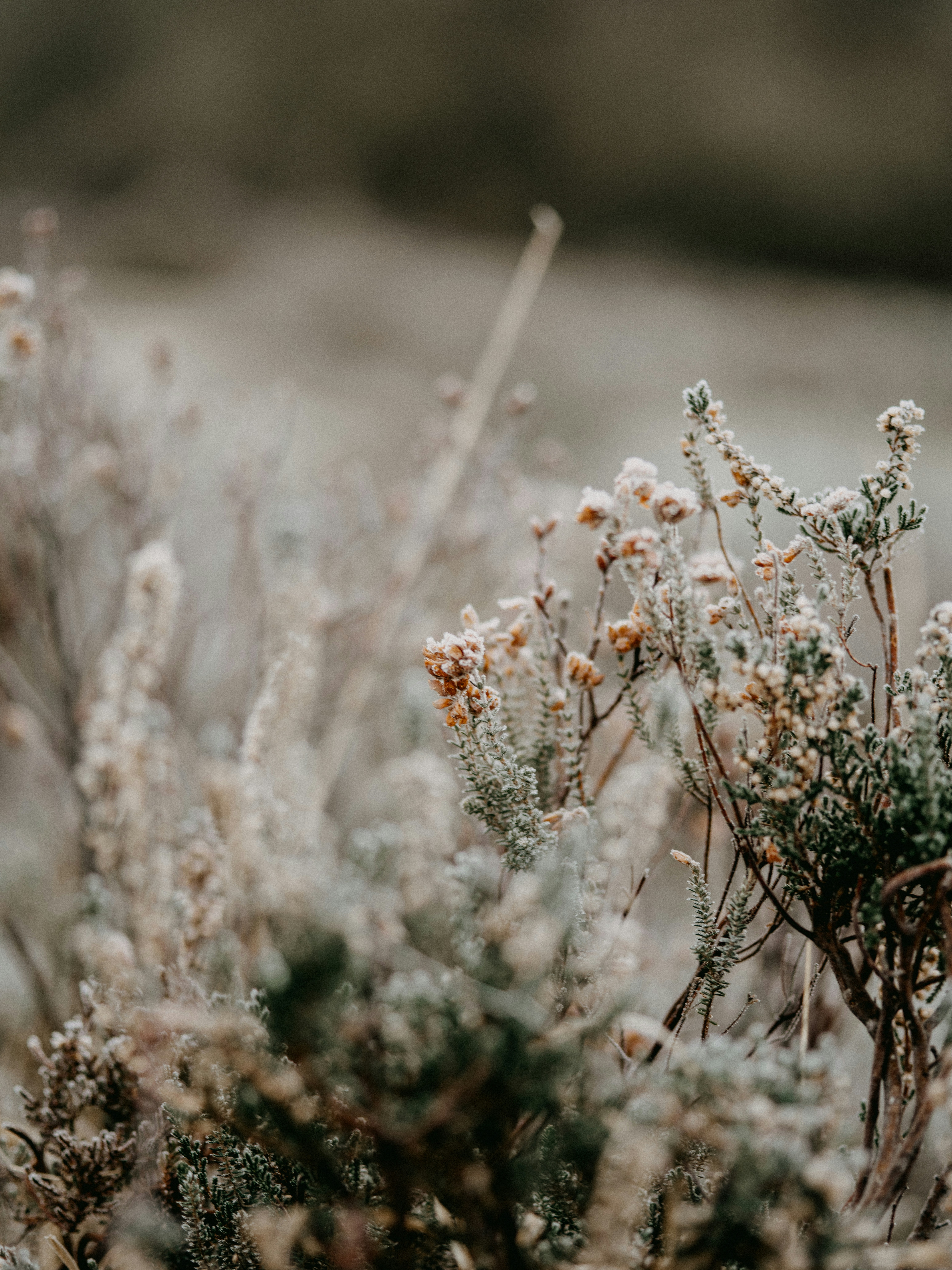 Photo by anniespratt