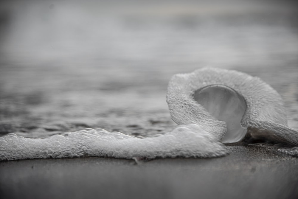 white snow on brown wooden surface