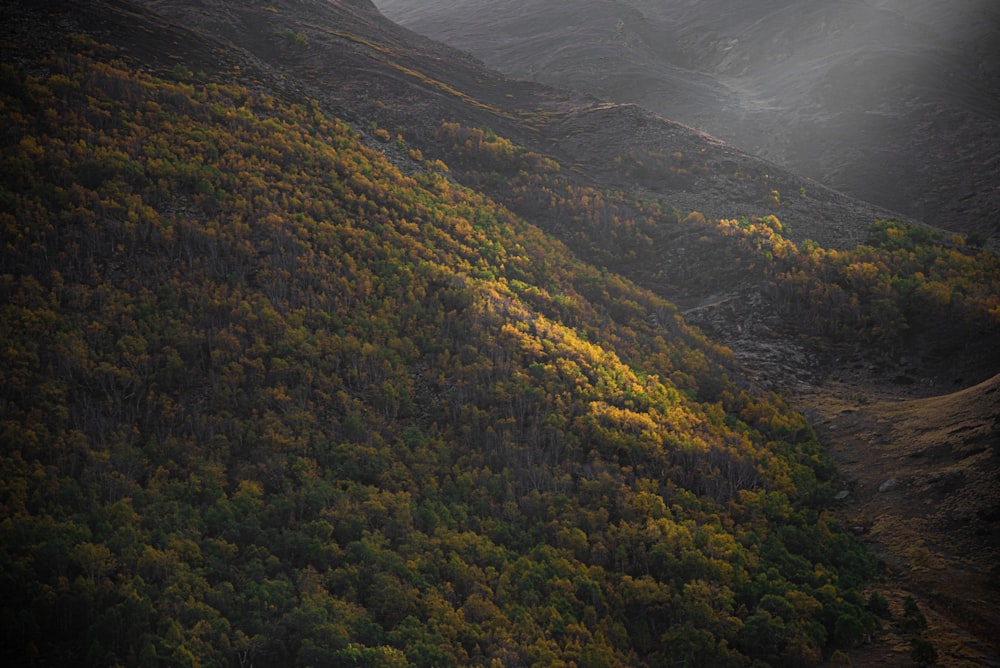 green and brown mountains under white clouds during daytime