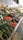 A well-organized display of fresh vegetables in a market setting, including baskets of cucumbers, tomatoes, eggplants, and various root vegetables. Bright labels and signs are visible above each section, and natural light illuminates the produce, enhancing their vibrant colors.