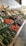 A well-organized display of fresh vegetables in a market setting, including baskets of cucumbers, tomatoes, eggplants, and various root vegetables. Bright labels and signs are visible above each section, and natural light illuminates the produce, enhancing their vibrant colors.