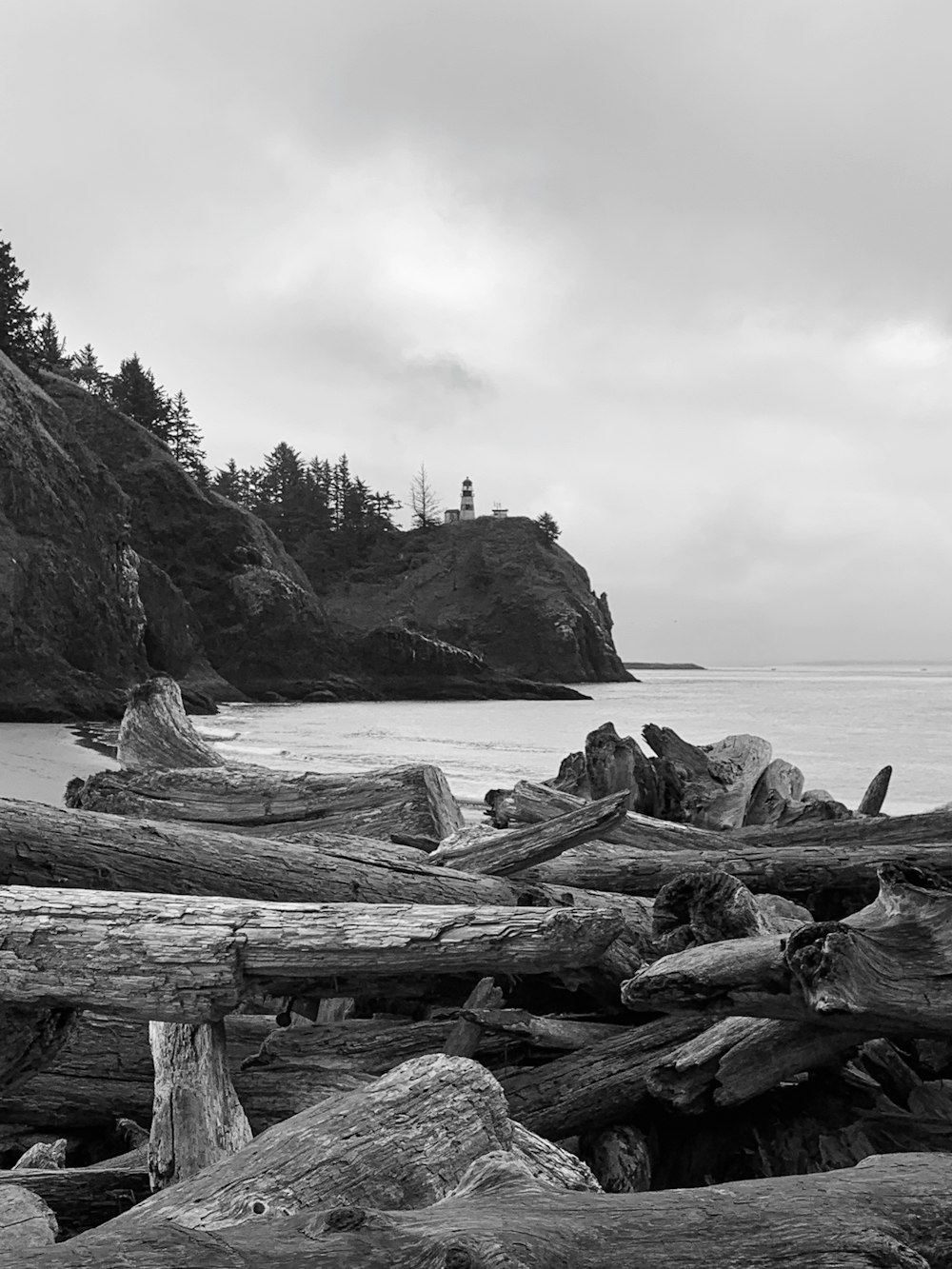 grayscale photo of wood log on beach
