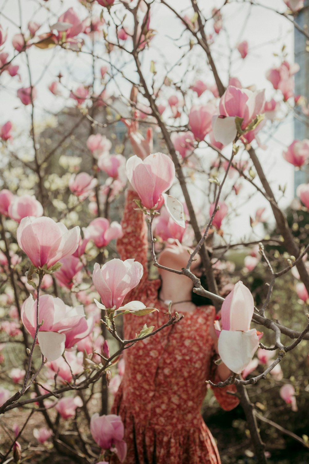 pink flowers in tilt shift lens