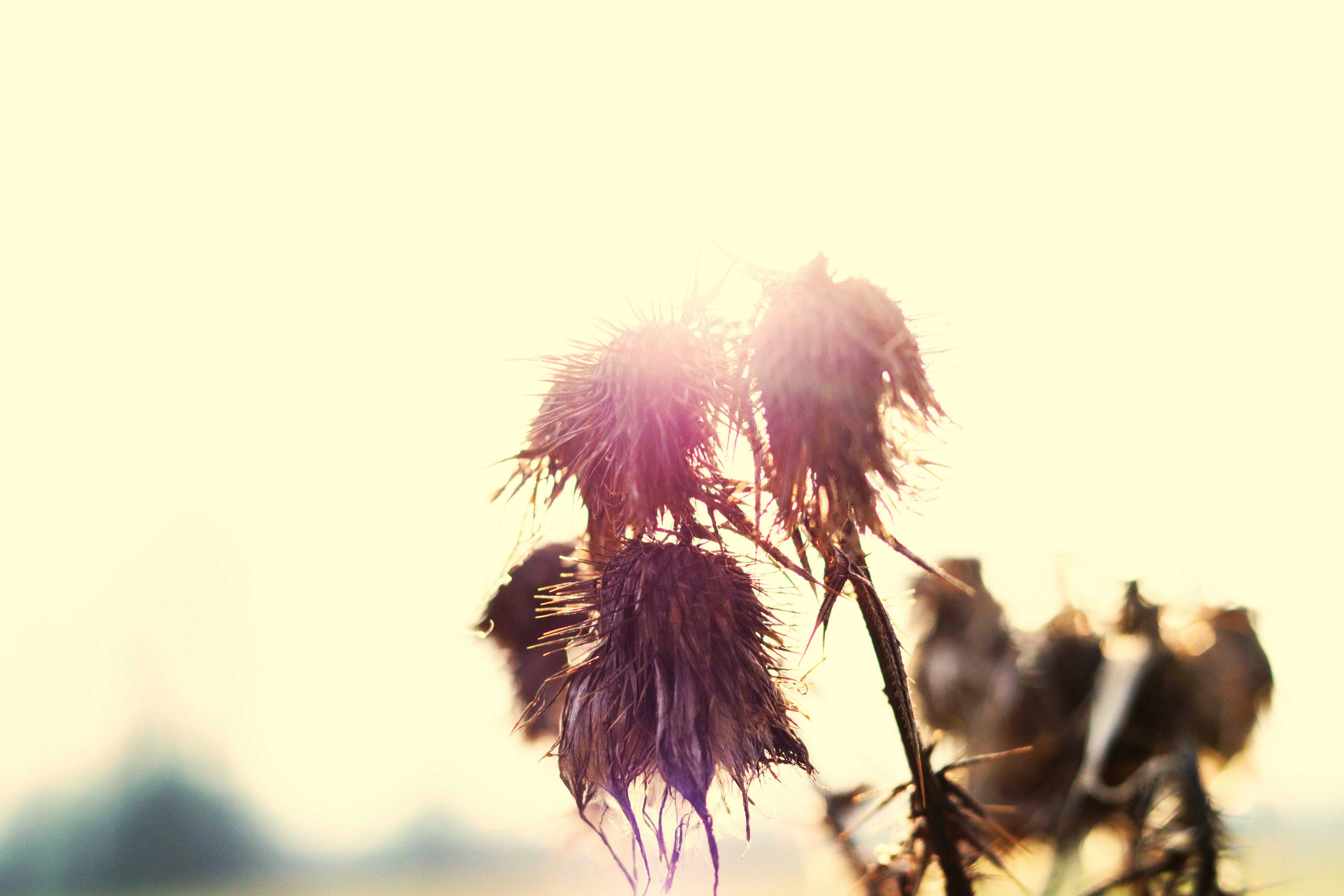 Photo by photasticlab