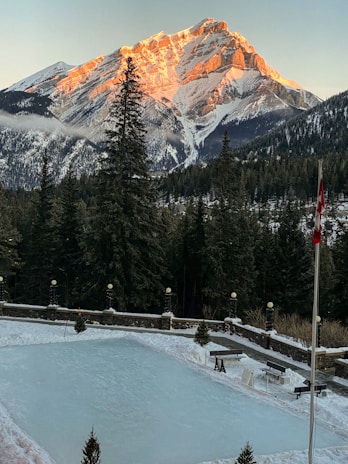 snow covered mountain and trees during daytime