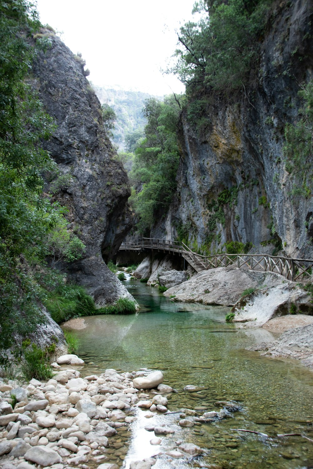 river between gray rocky mountain during daytime