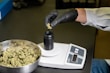 A person wearing a white lab coat and black gloves is placing cannabis buds into a black container on an electronic scale. A metal bowl filled with cannabis buds sits nearby on a dark surface.