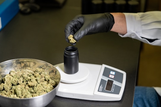 A person wearing a white lab coat and black gloves is placing cannabis buds into a black container on an electronic scale. A metal bowl filled with cannabis buds sits nearby on a dark surface.
