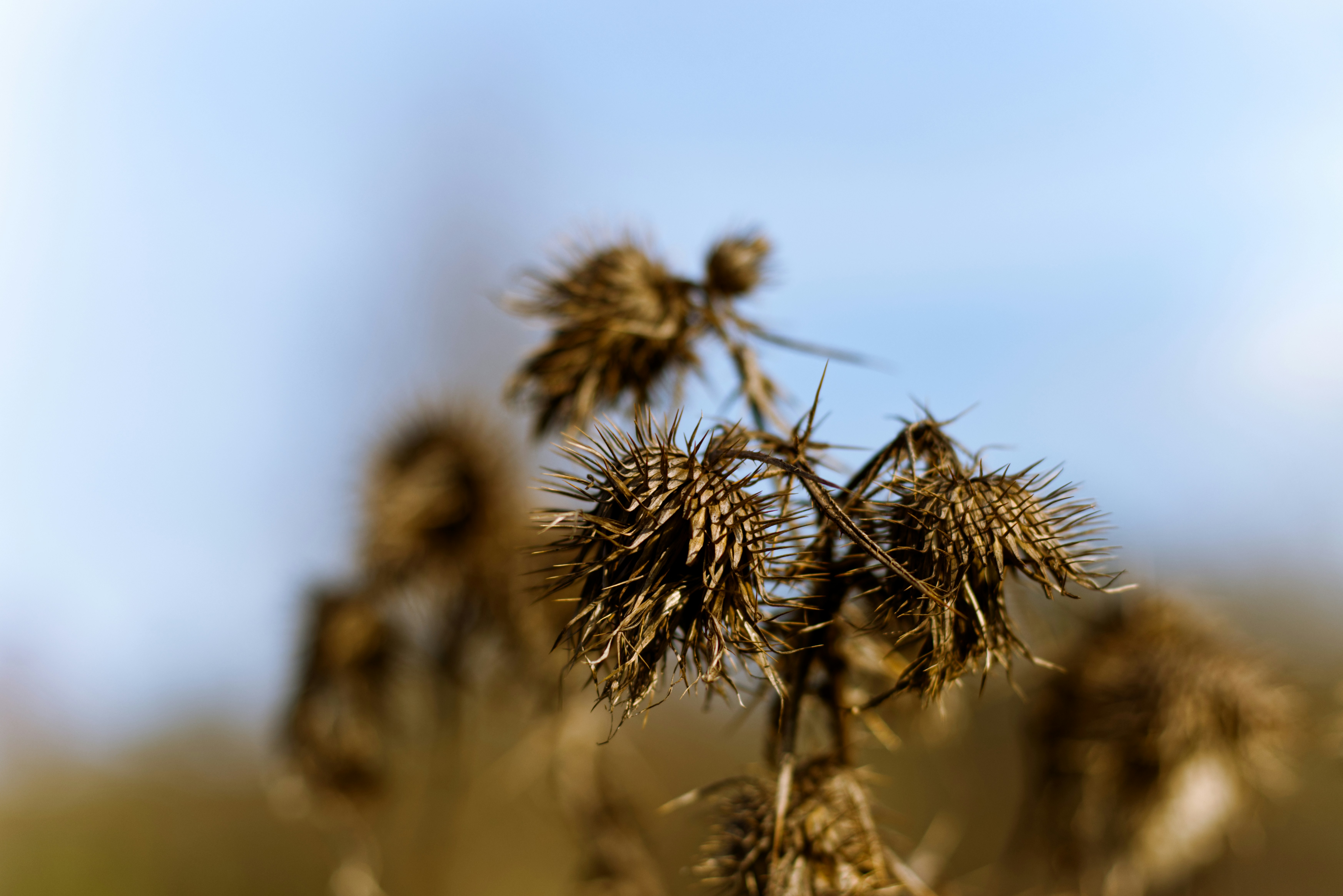 Photo by photasticlab