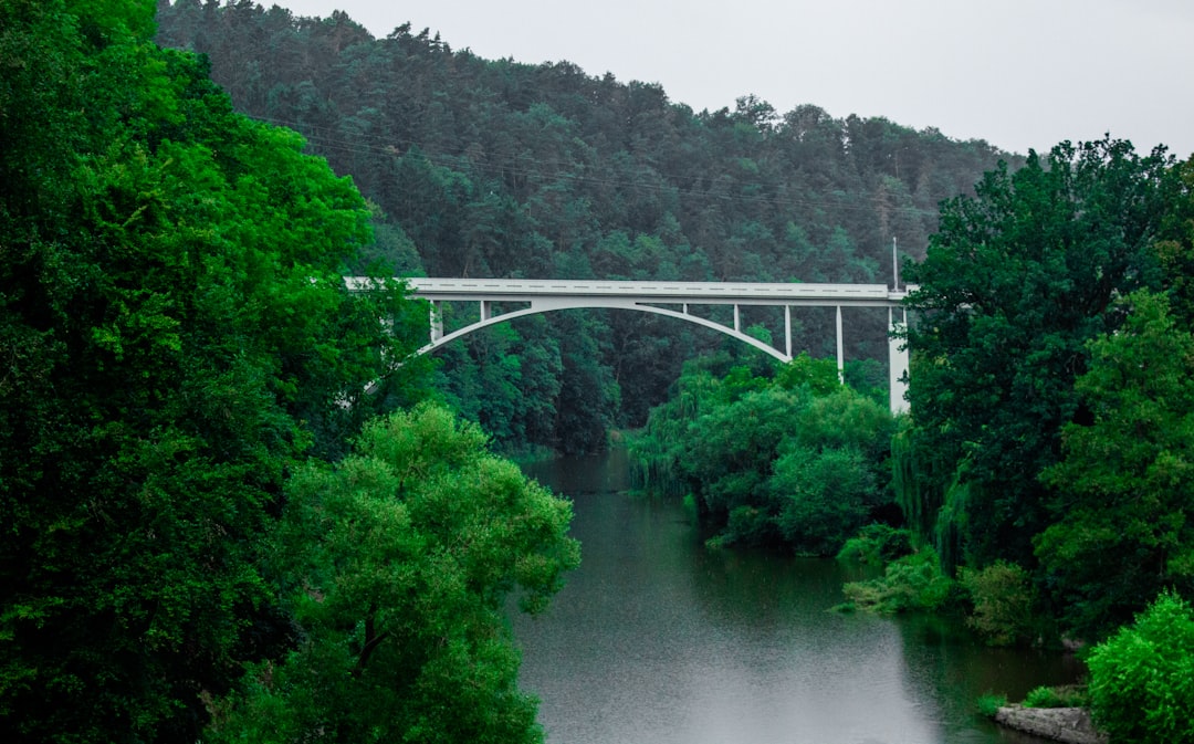 white bridge over river surrounded by green trees during daytime