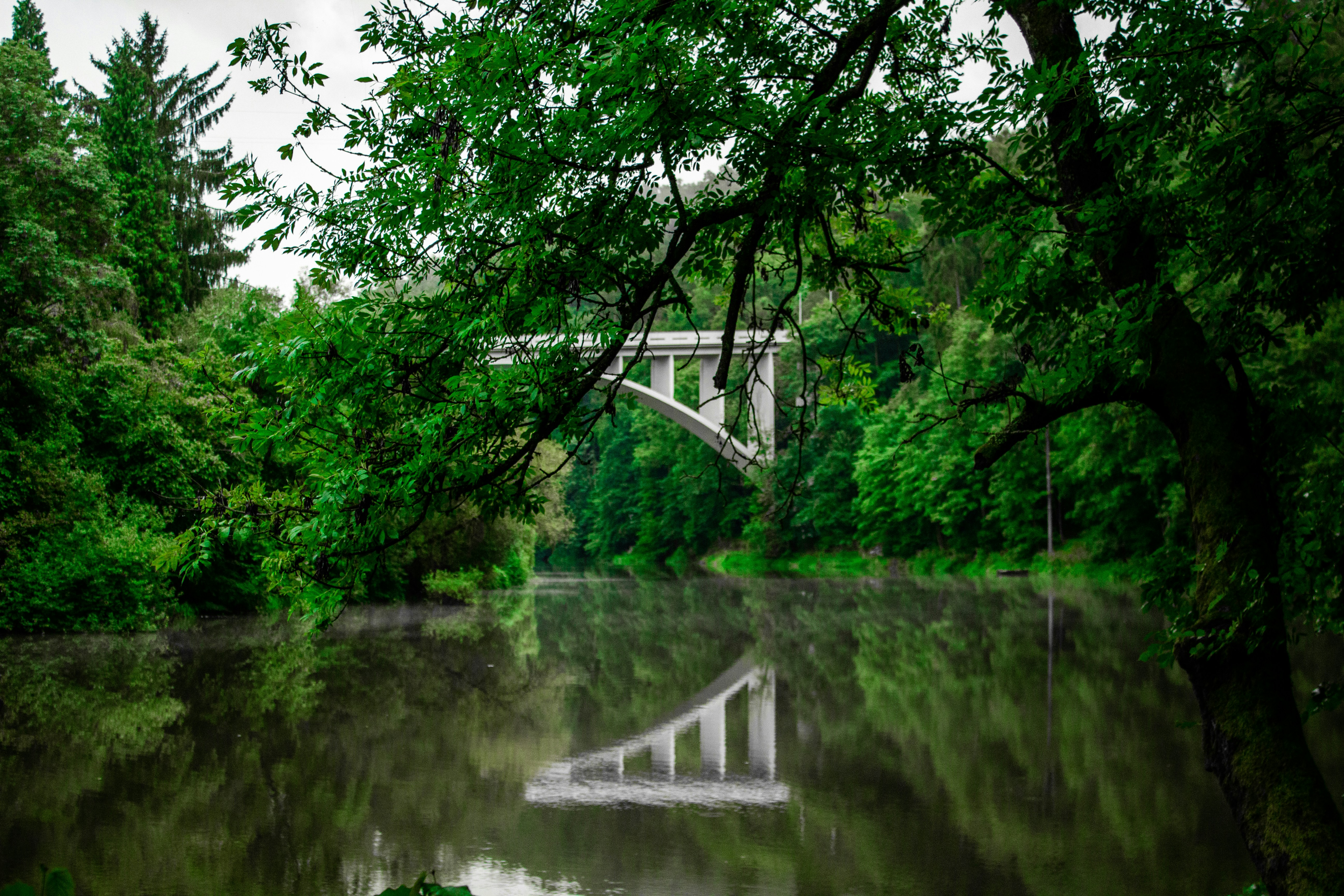 Photo by orangetiephotography