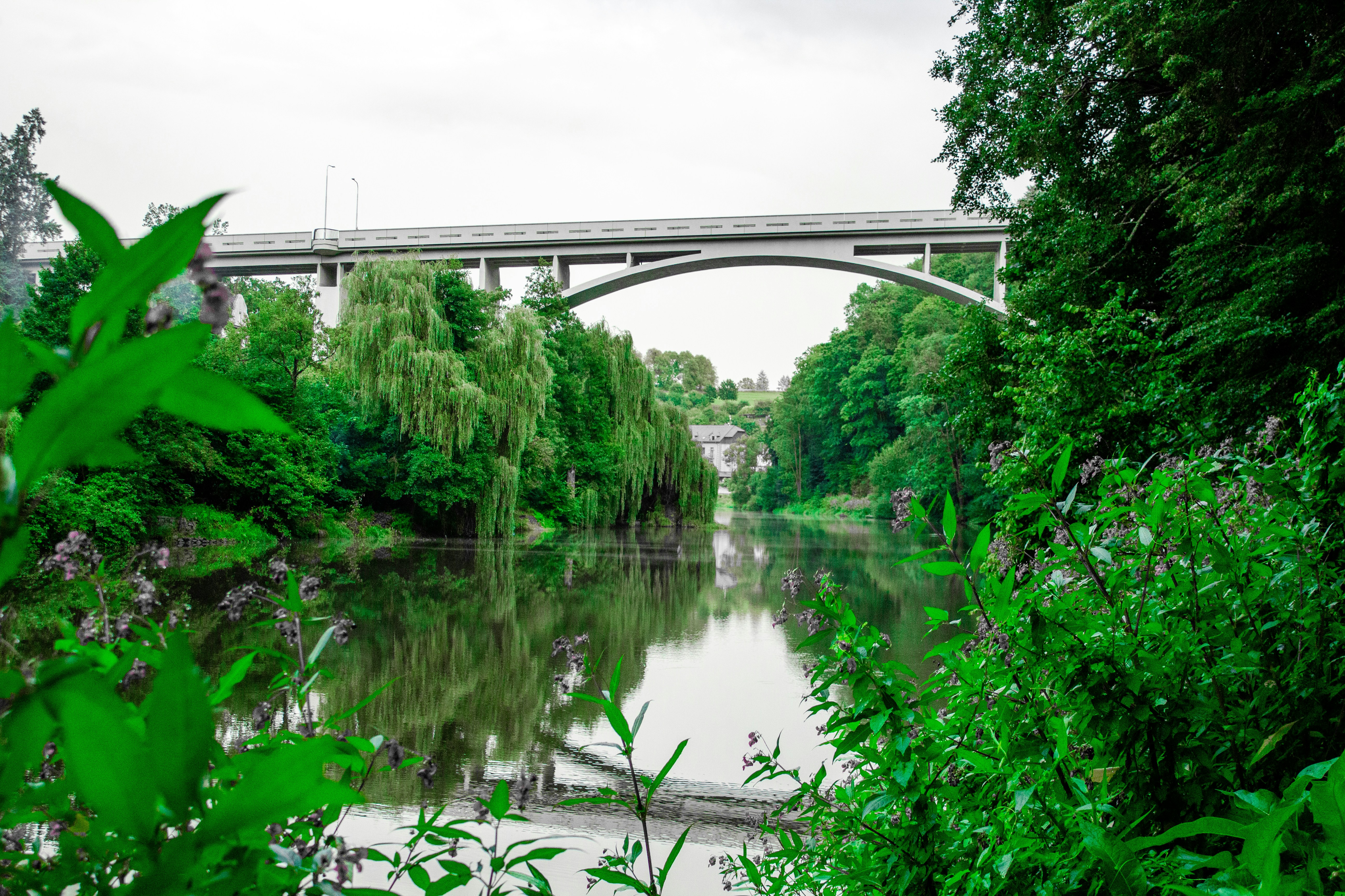 Photo by orangetiephotography