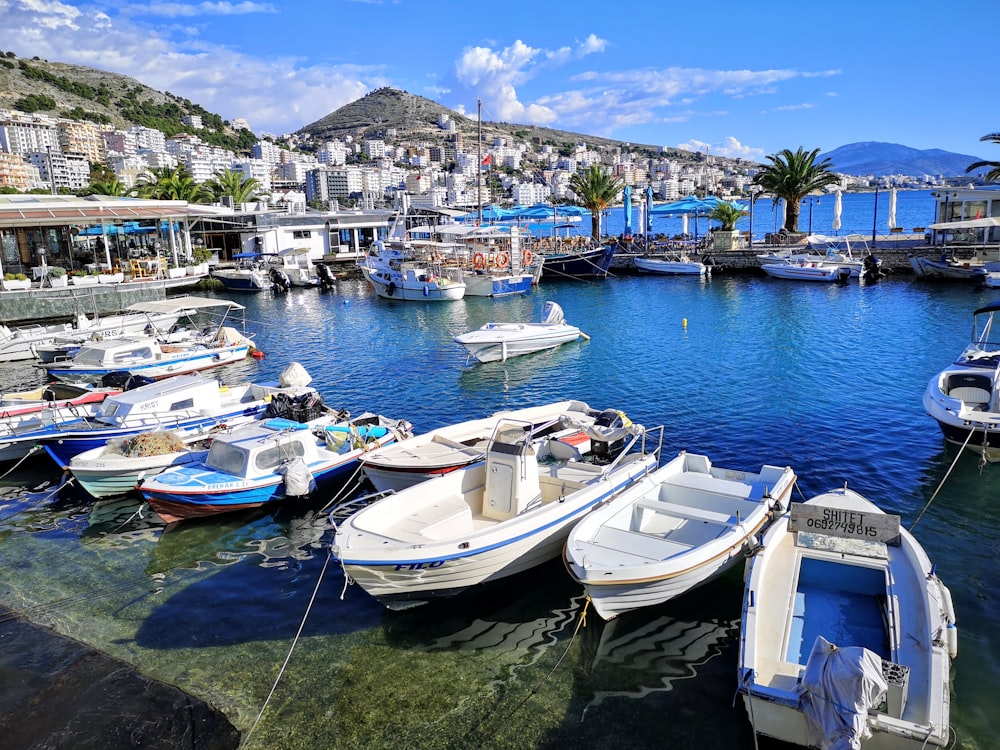 Barcos blancos y azules en el cuerpo de agua durante el día