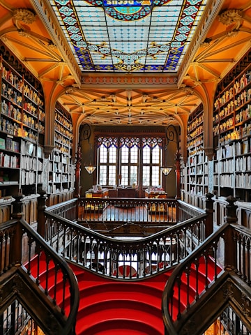 brown wooden shelves with books