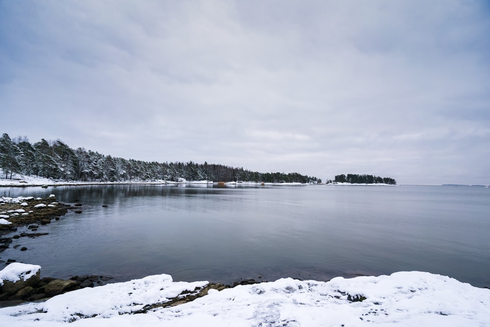 body of water near trees under cloudy sky during daytime