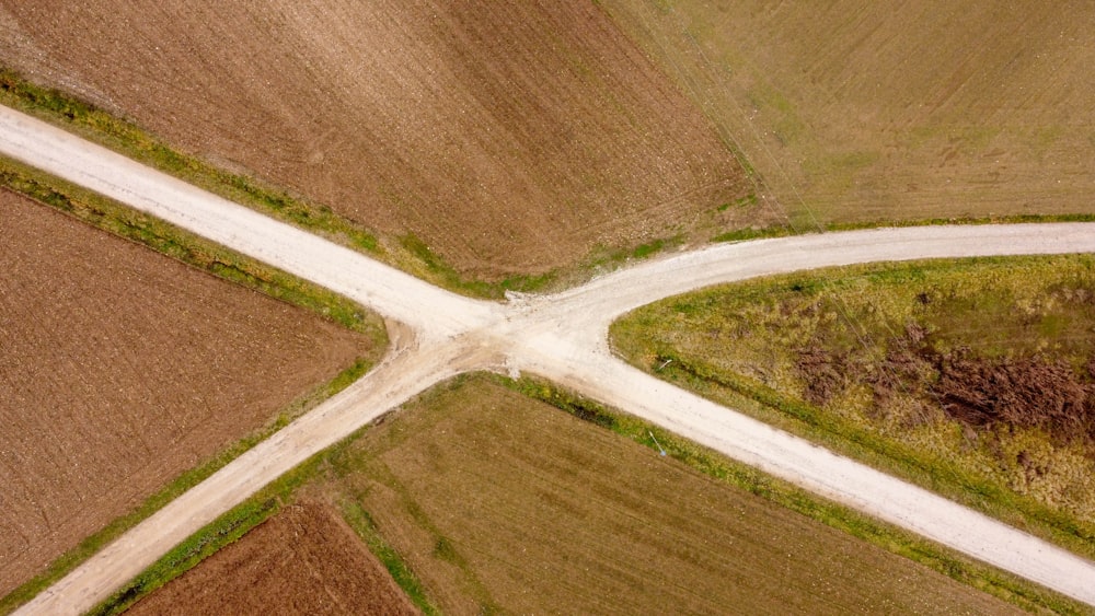 Grüne und braune Wiese tagsüber