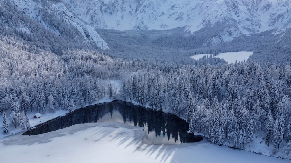 Árboles y montañas cubiertos de nieve durante el día