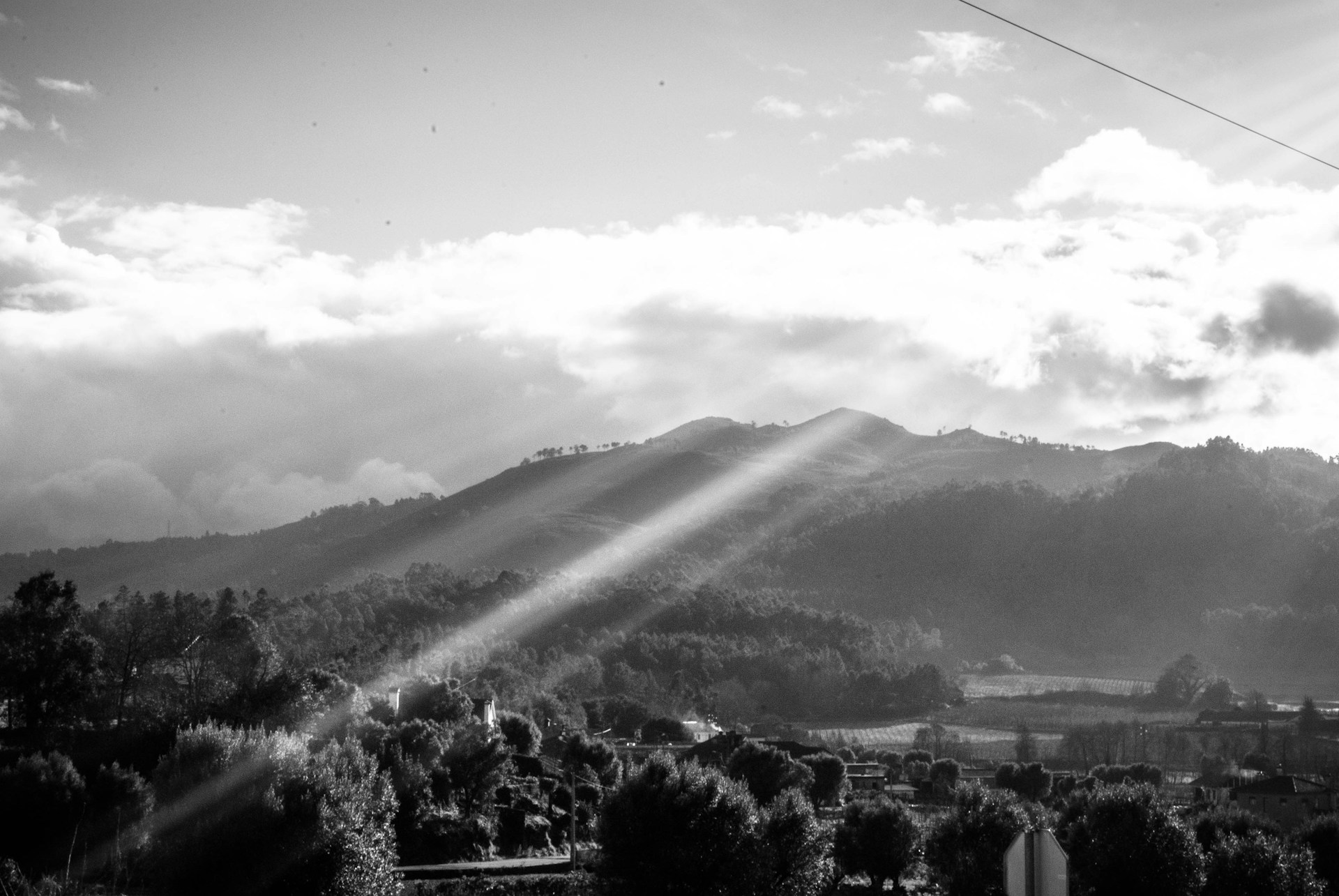 black and white bed linen