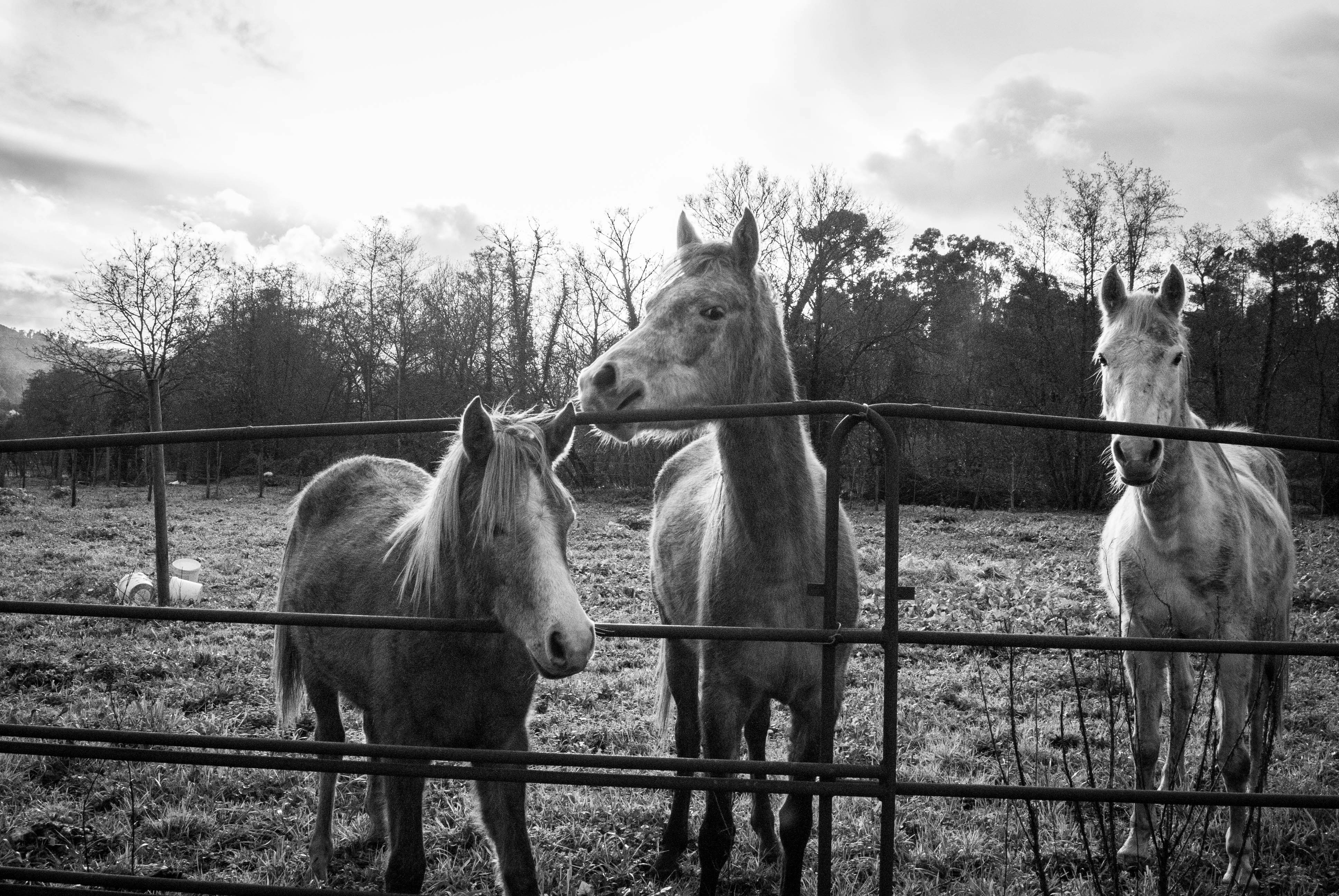 Photo by sandra_silva