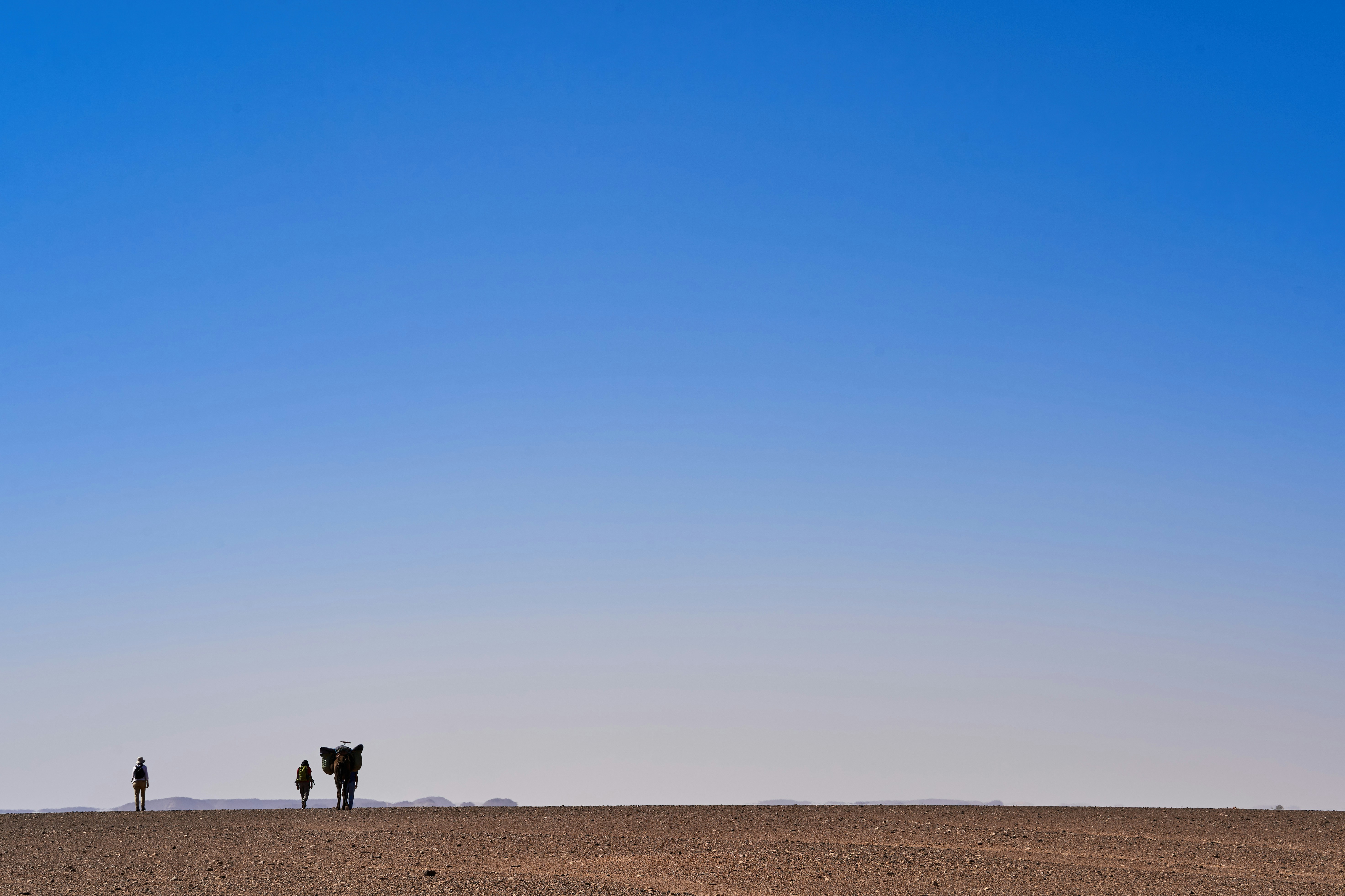 Photo by wolfgang_hasselmann