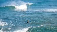 A group of surfers is scattered across a vast ocean, with powerful waves rolling in. Two surfers are paddling on their boards in the foreground, moving towards a large, cresting wave. The scene is bathed in bright, natural light, highlighting the vibrant blue and turquoise colors of the water.