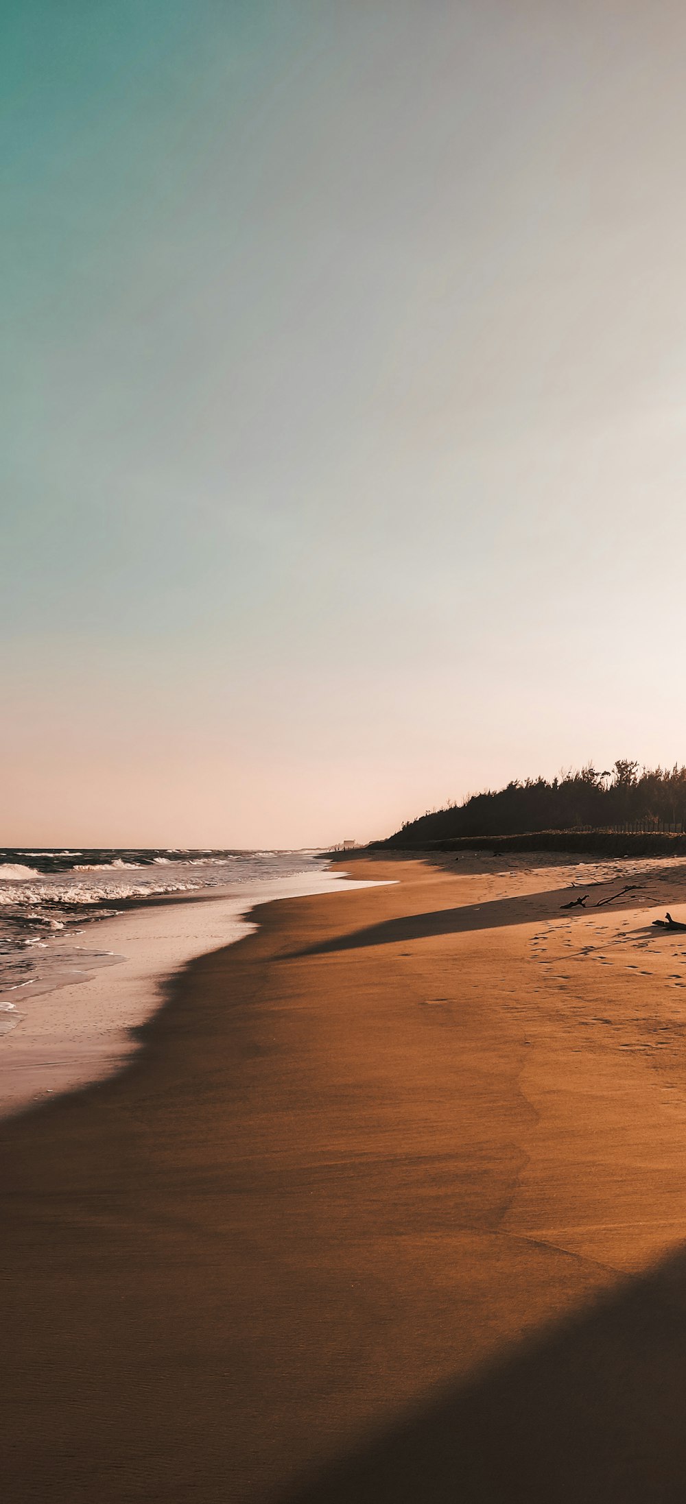 beach shore under gray sky