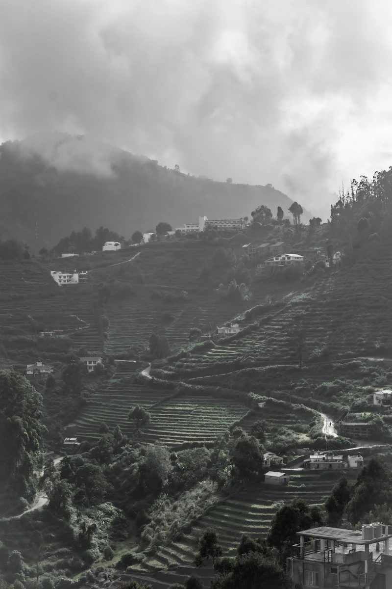 Kodaikanal Chill Trip tour package