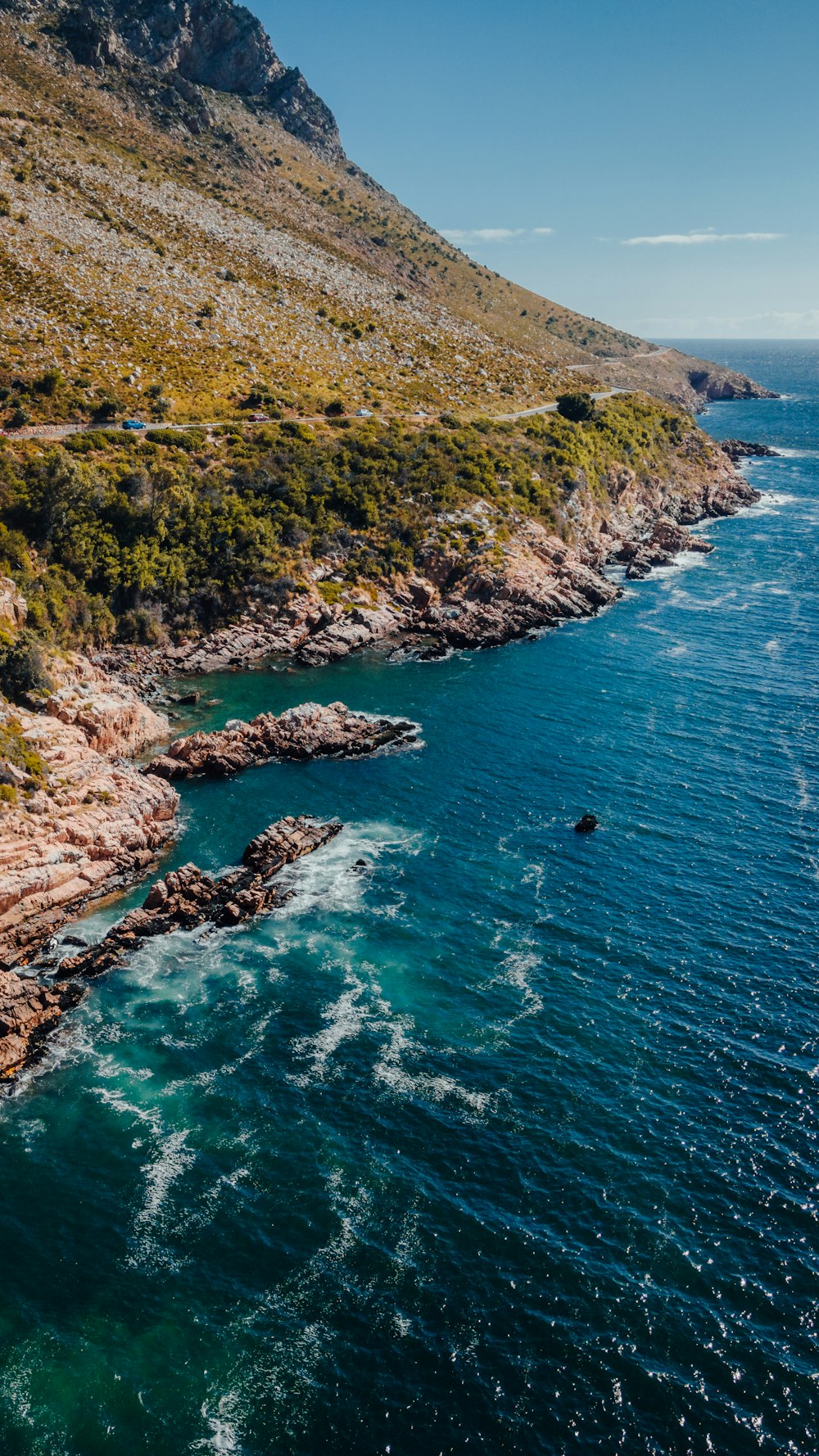 erba verde e alberi accanto al mare blu durante il giorno