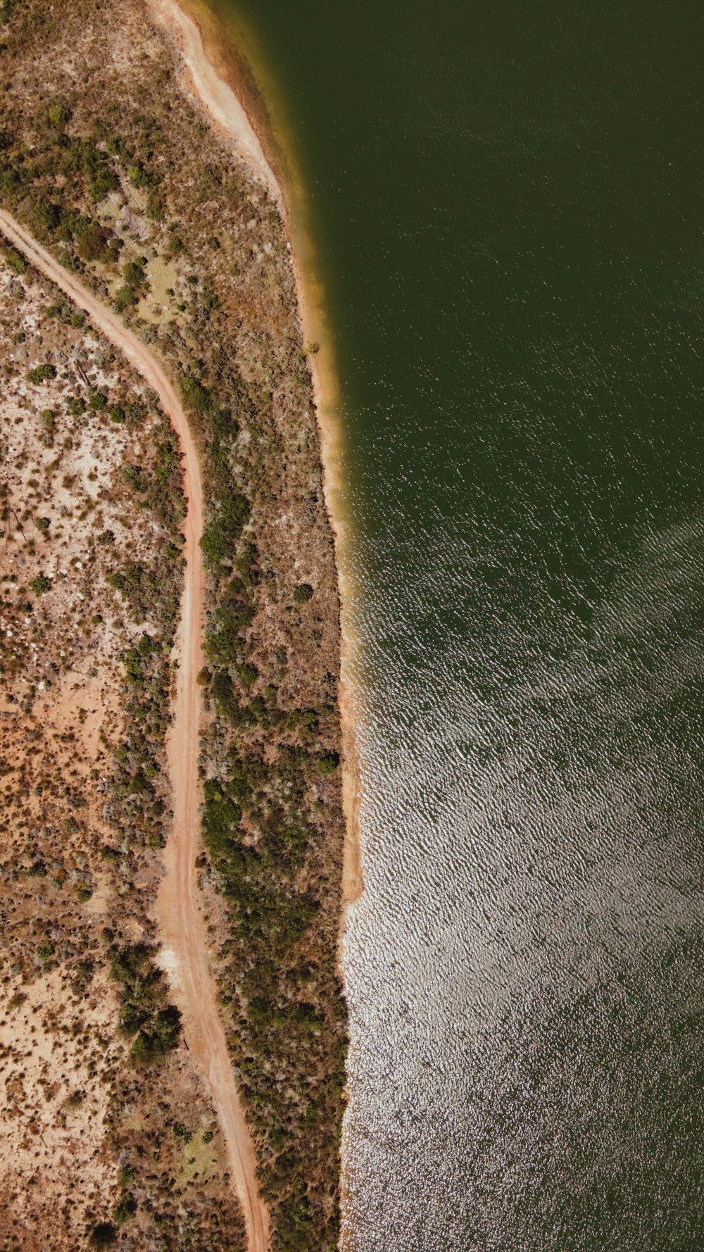 aerial view of green and brown land near body of water during daytime