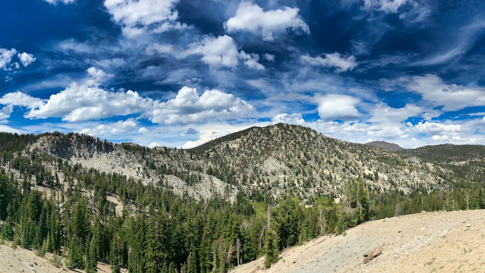 green pine trees on mountain under blue sky and white clouds during daytime