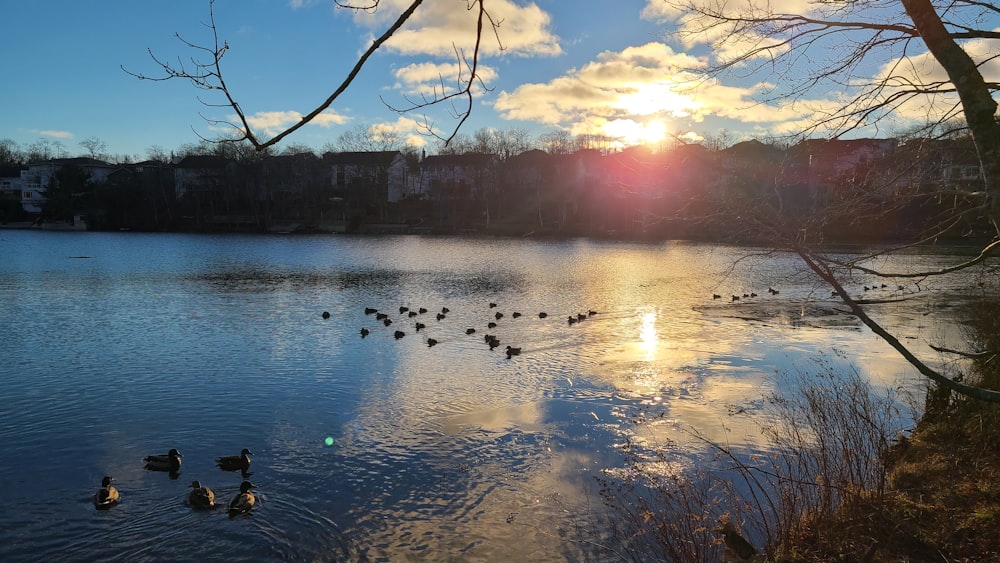 person in black jacket sitting on brown wooden bench near body of water during daytime