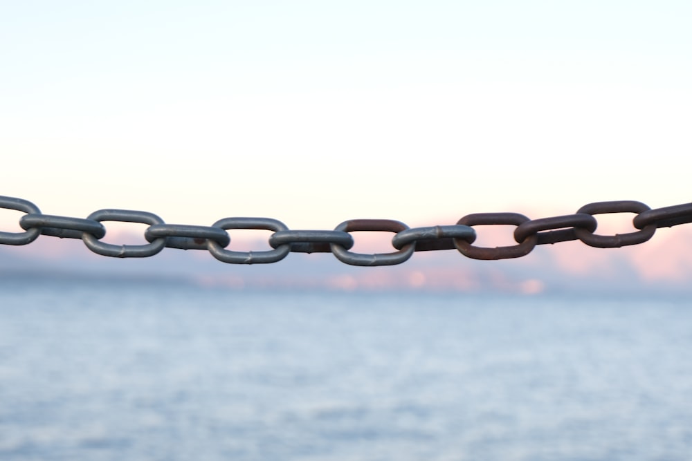 brown metal chain with white background