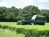 Agricultural tractor working in a lush green field with a Pakistani farmer operating it.