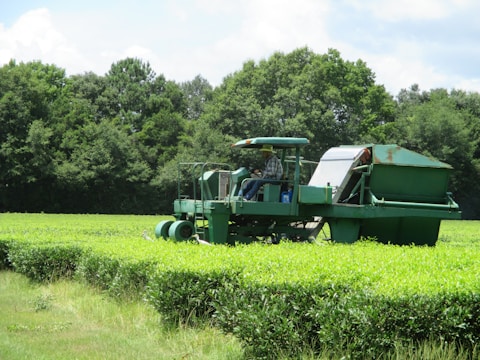 Agricultural machinery operating in a lush green field.