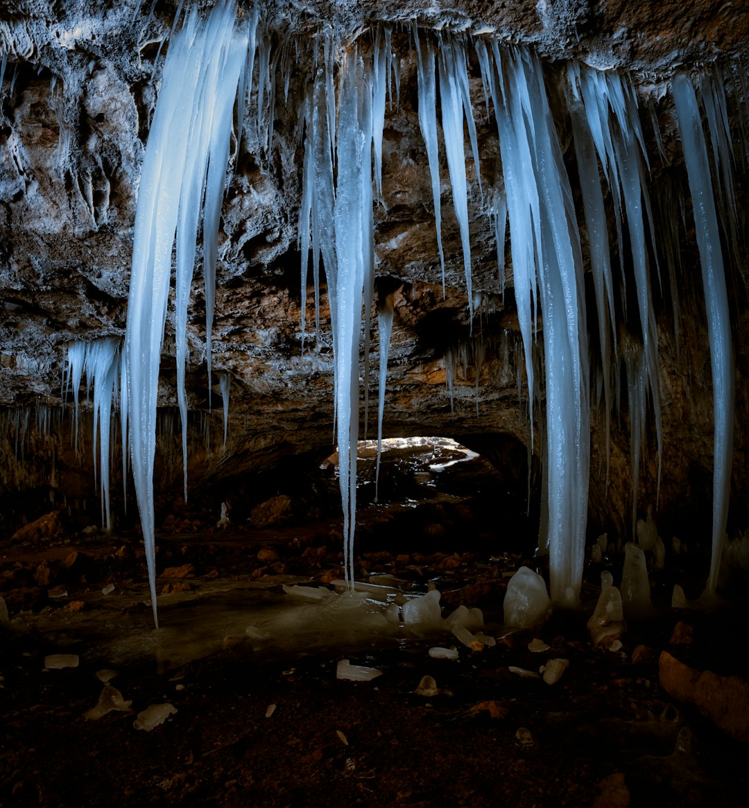 water falls in the middle of the forest