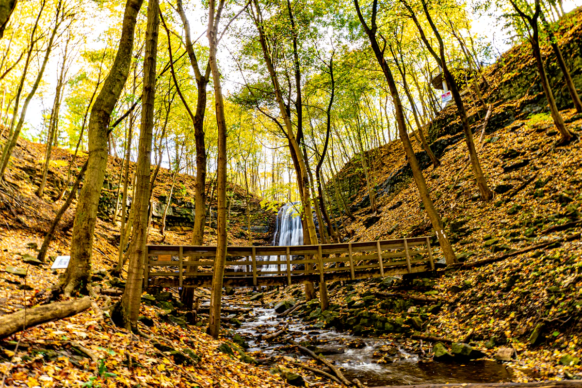 A wooden footbridge over a creek below a waterfall in a wooded ravine in Hamilton, in autumn