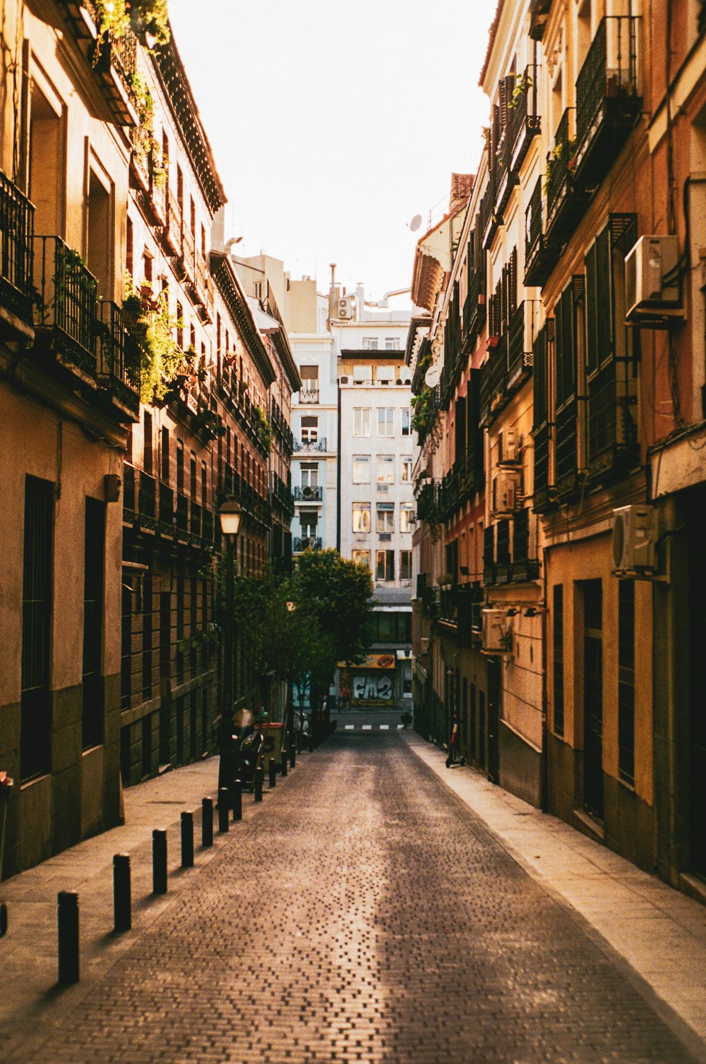 empty street in between of buildings during daytime