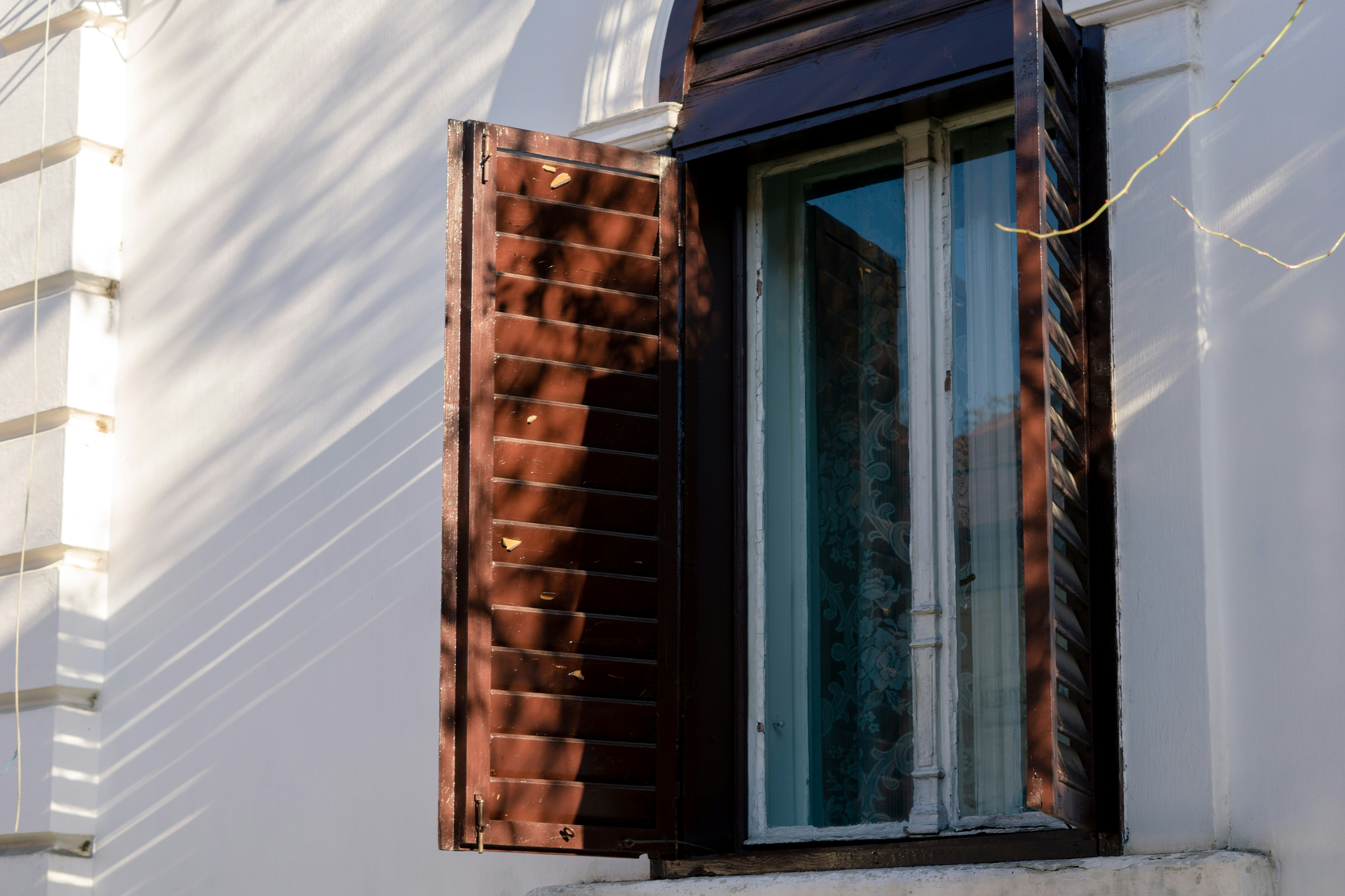 Photo by andreeapop_