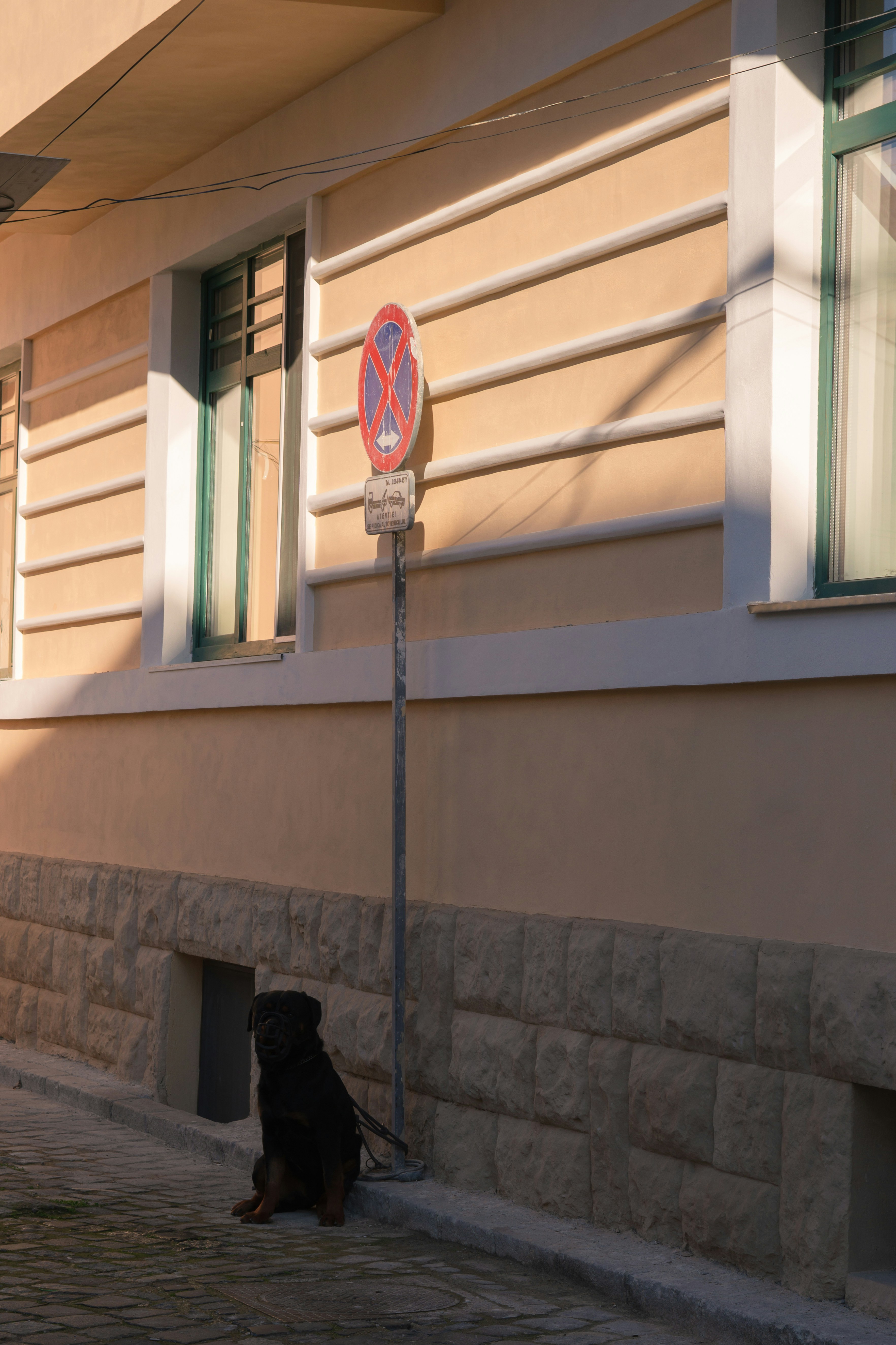 Photo by andreeapop_