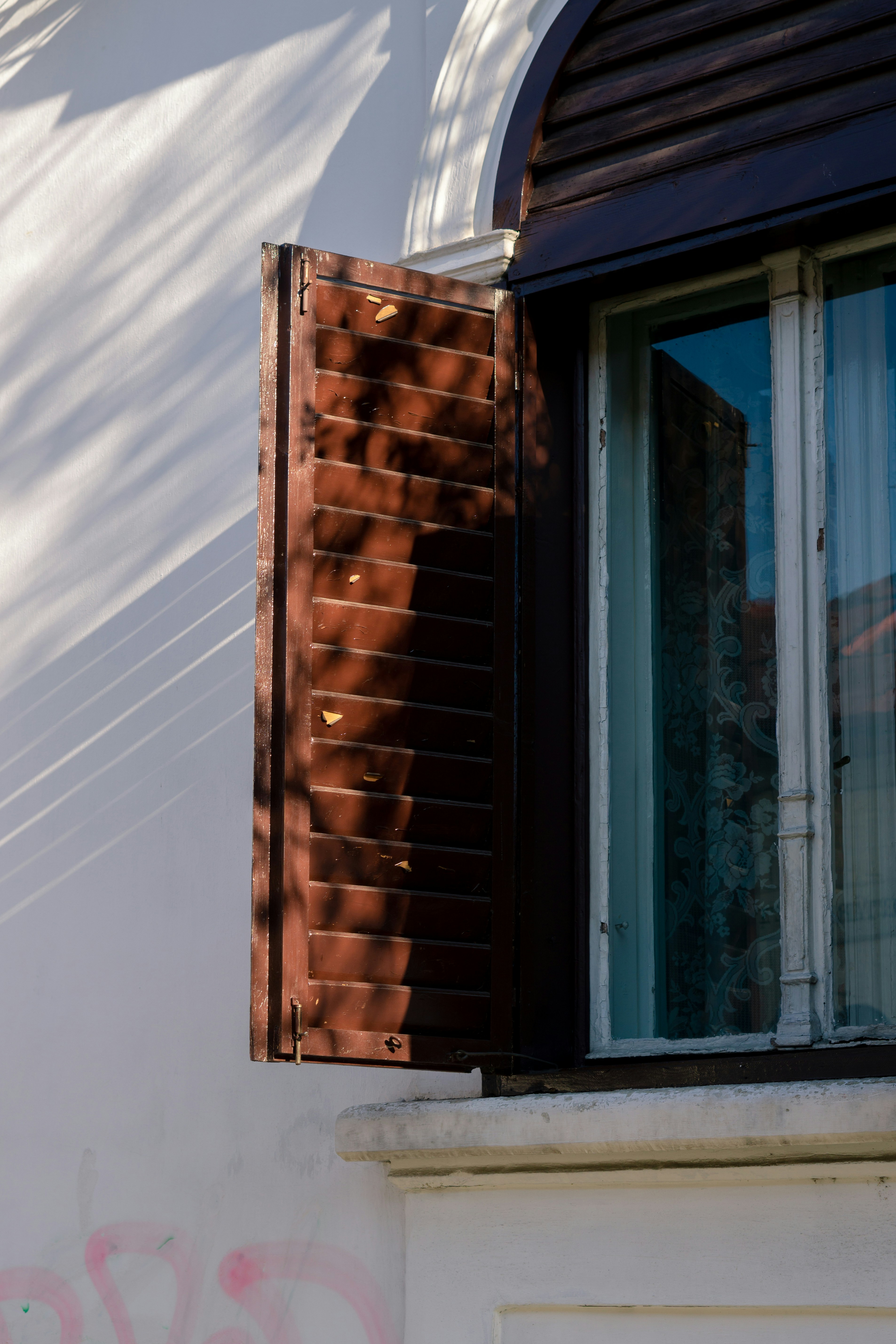 Photo by andreeapop_