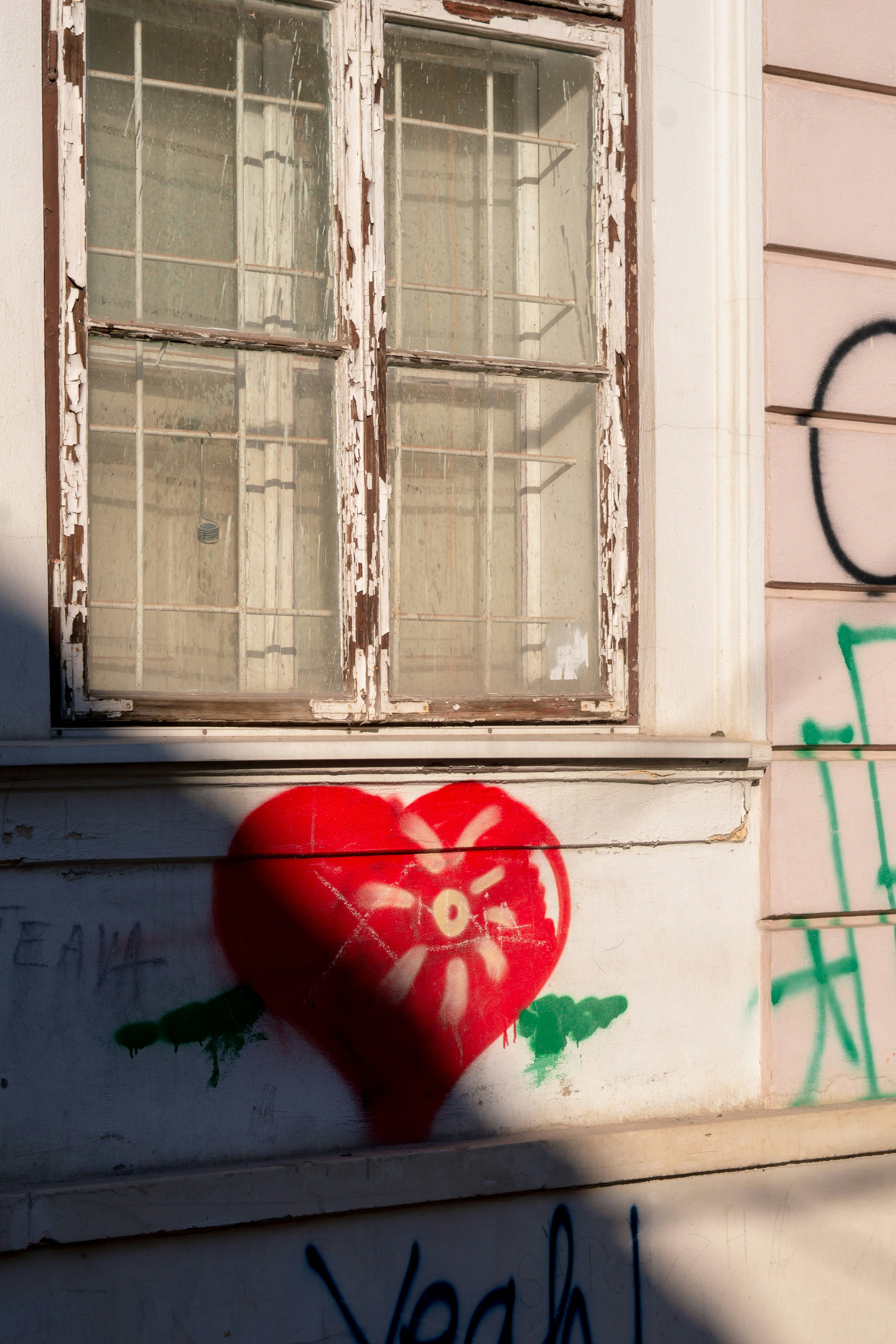 Photo by andreeapop_