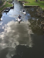 Two kayakers gliding side by side through a narrow river surrounded by lush green trees.