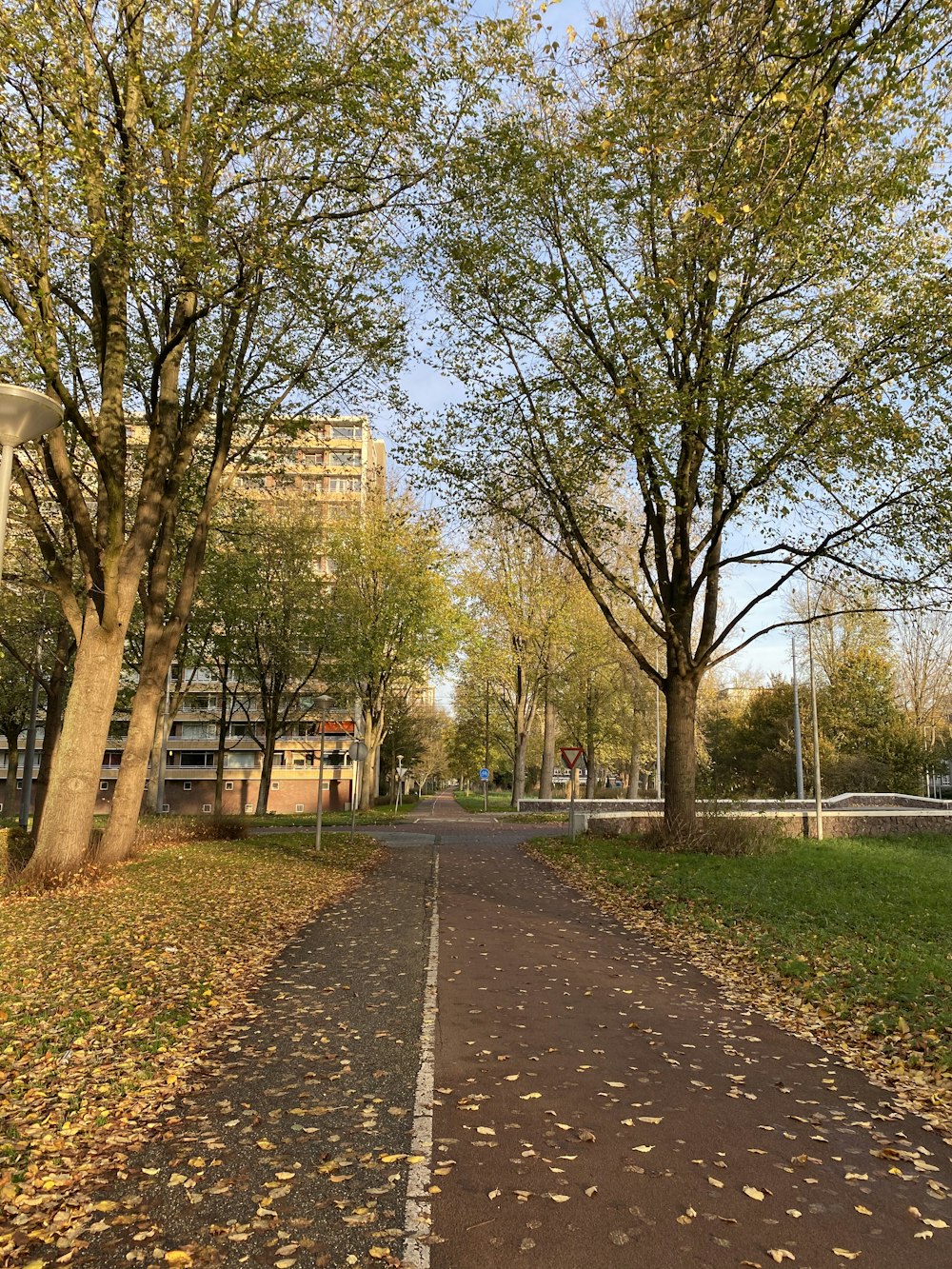 brown trees near brown concrete building during daytime