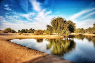 A serene desert oasis featuring a small, calm body of water surrounded by sandy terrain. Lush green trees and bushes are reflected in the water, under a clear blue sky with wispy clouds.