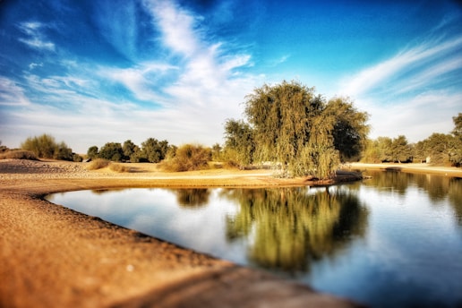 A serene desert oasis featuring a small, calm body of water surrounded by sandy terrain. Lush green trees and bushes are reflected in the water, under a clear blue sky with wispy clouds.