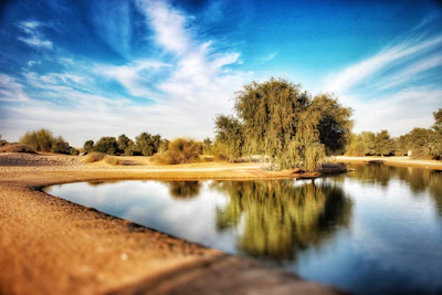 A serene oasis with palm trees and a sparkling water pool surrounded by desert.